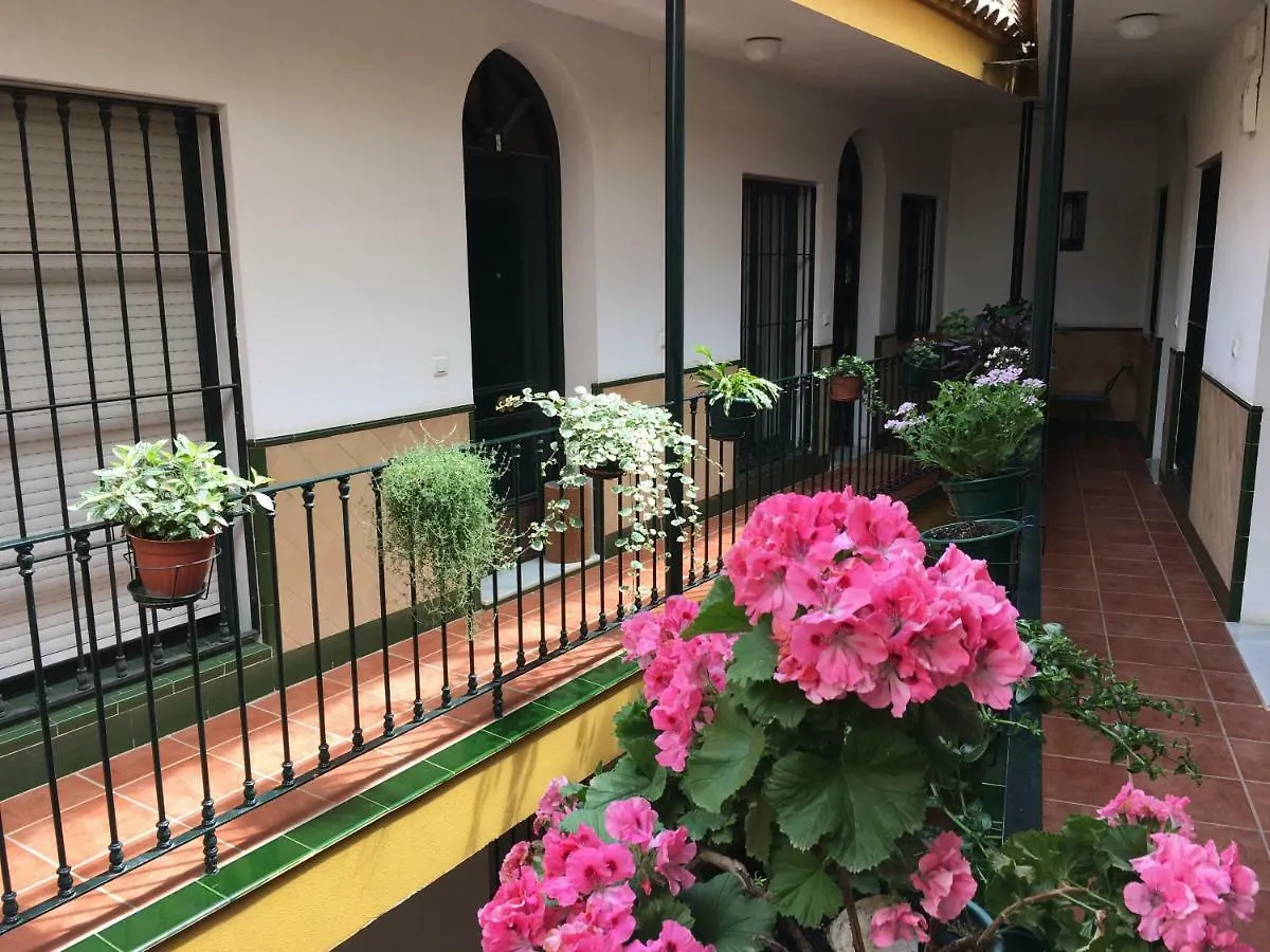 Cosy Apartment With Terrace In The Centre Of Sevilla Spanien