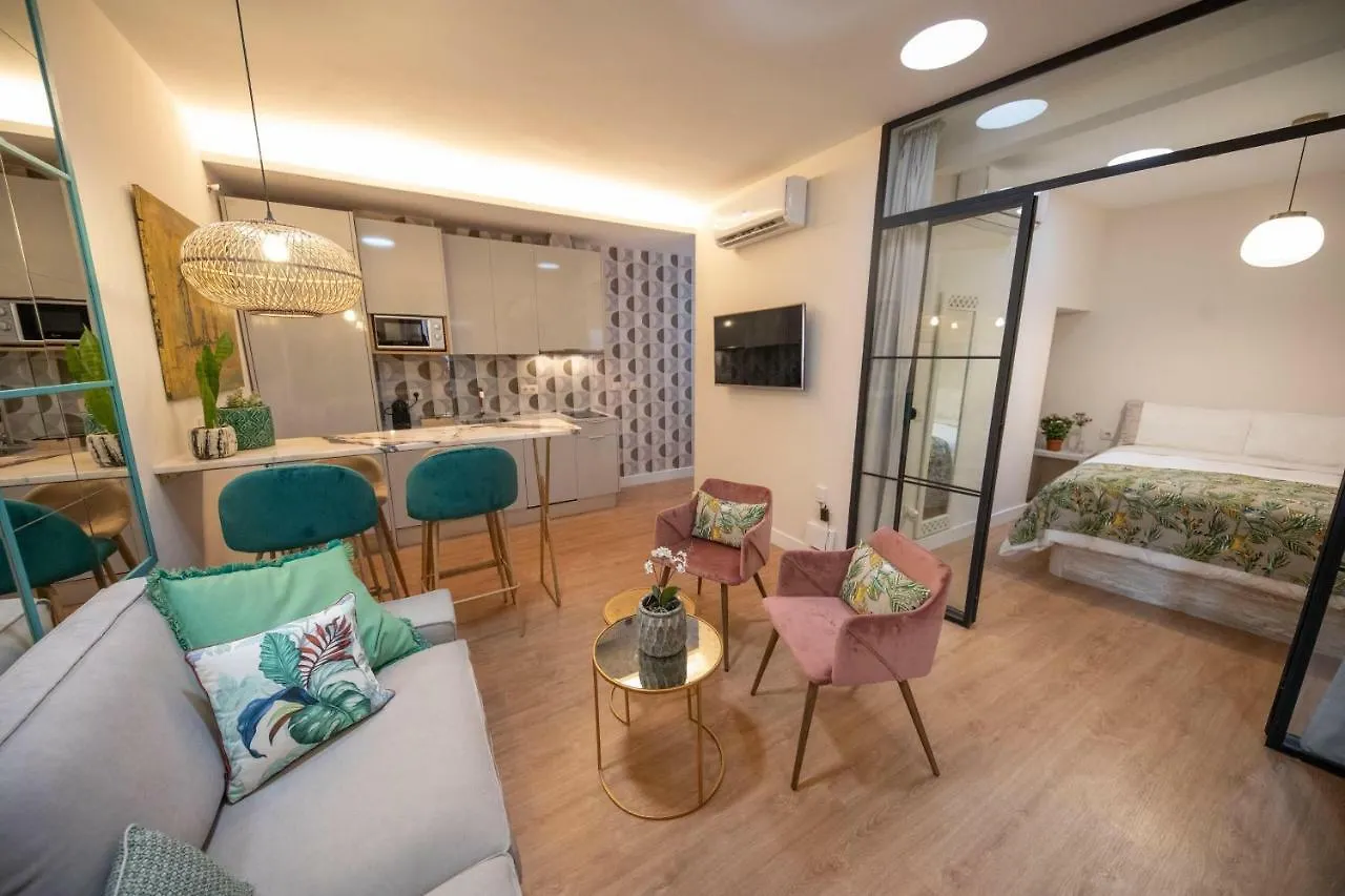 Cosy Apartment With Terrace In The Centre Of Seville Spain
