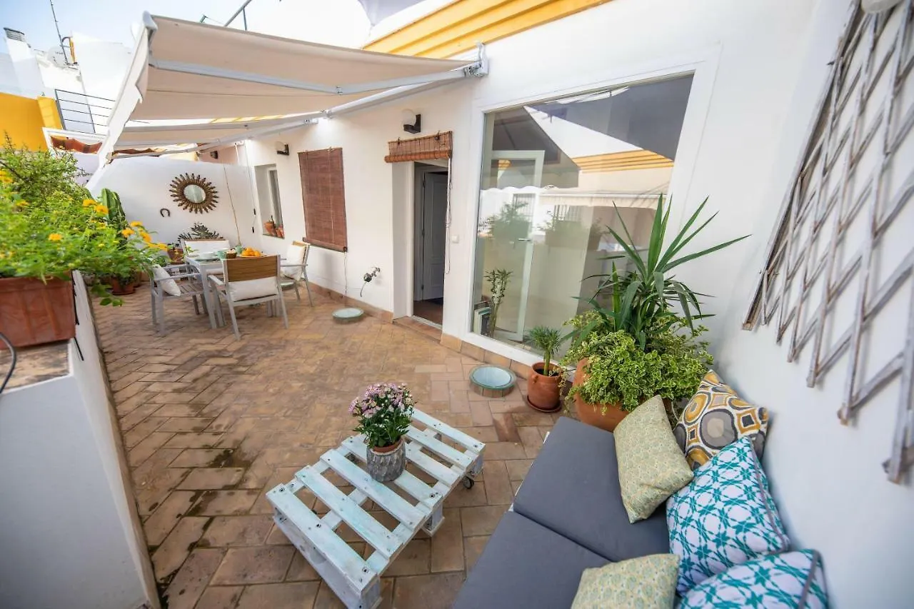 Cosy Apartment With Terrace In The Centre Of Seville Spain