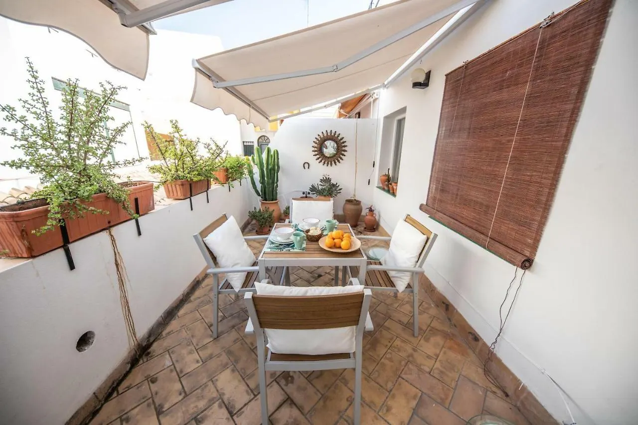 Cosy Apartment With Terrace In The Centre Of Seville
