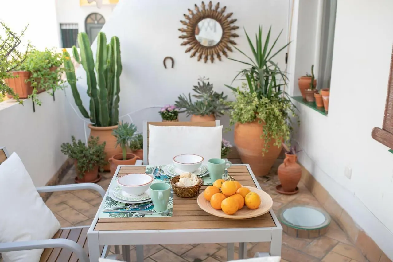 Cosy Apartment With Terrace In The Centre Of Seville