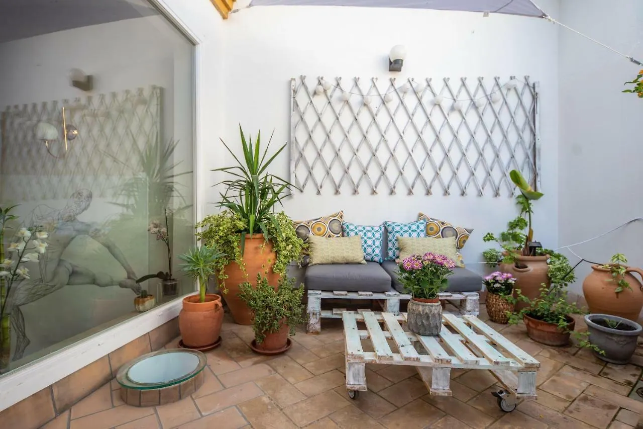 Cosy Apartment With Terrace In The Centre Of Seville Spain