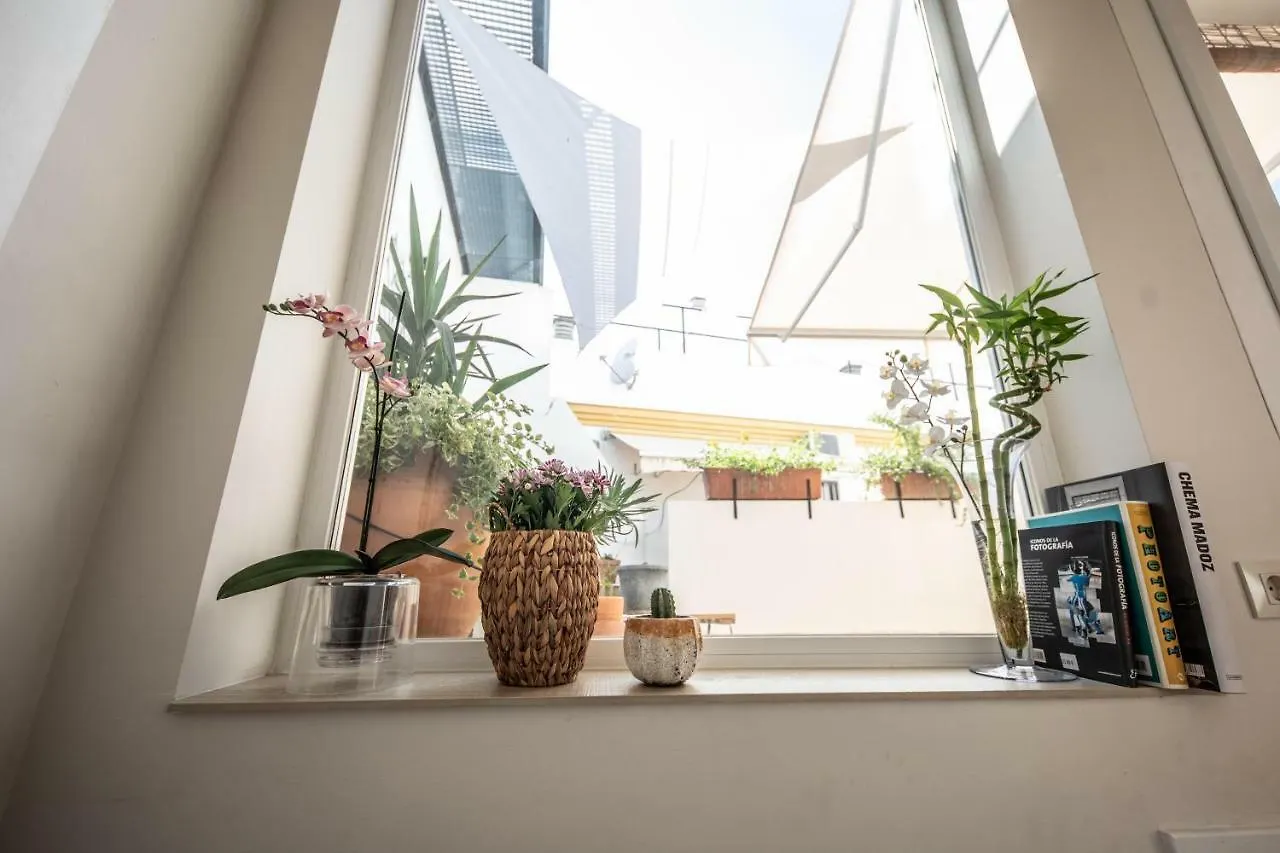 Cosy Apartment With Terrace In The Centre Of Seville