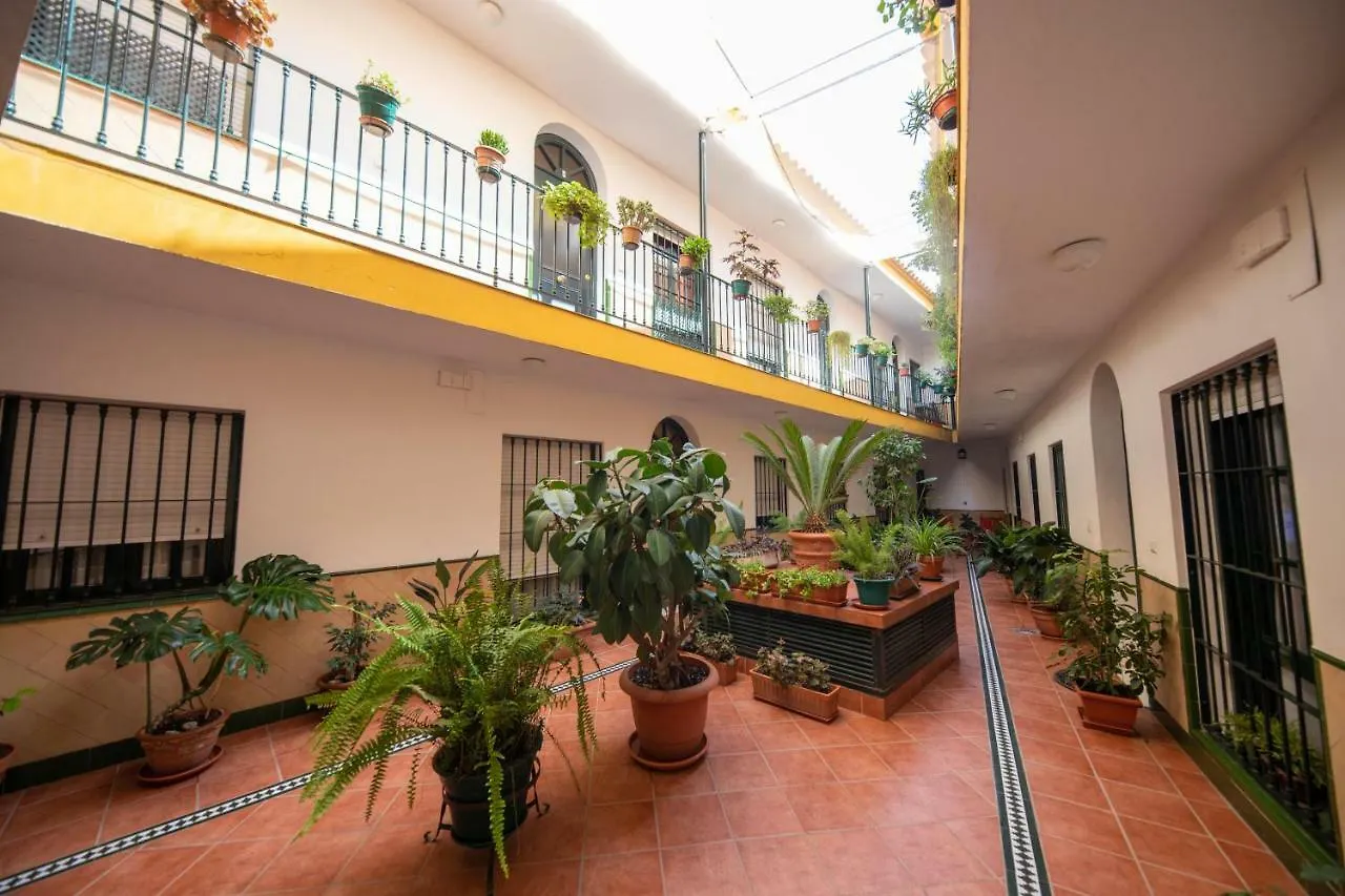 Cosy Apartment With Terrace In The Centre Of Seville